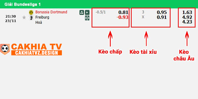 Bảng soi kèo Dortmund vs Freiburg vòng 11 Bundesliga 1 mùa giải 24/25